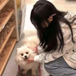 永恒奇迹官方手游下载
